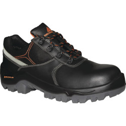 polbut-phocea-s3-src