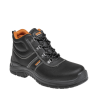 trzewiki-bnn-basic-s3-high-z93201