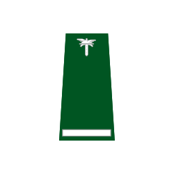 pagon-itd-mlodszy-kontroler