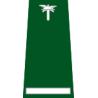 pagon-itd-mlodszy-kontroler