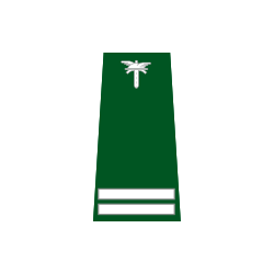 pagon-itd-kontroler