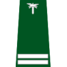pagon-itd-kontroler
