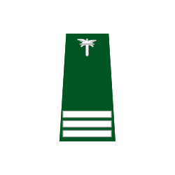 pagon-itd-starszy-kontroler