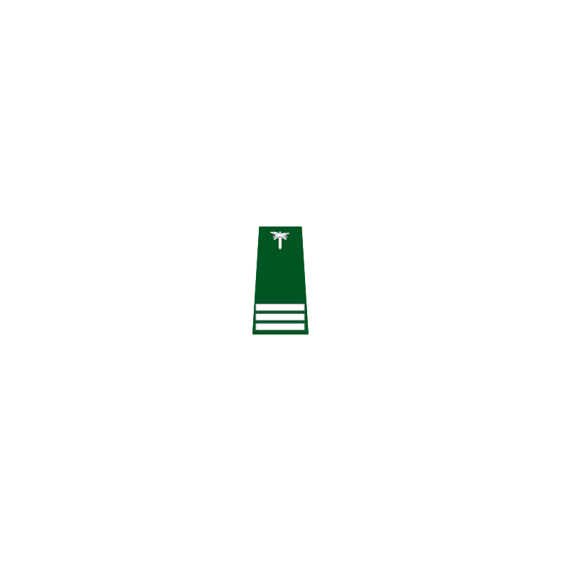 pagon-itd-starszy-kontroler