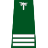 pagon-itd-starszy-kontroler