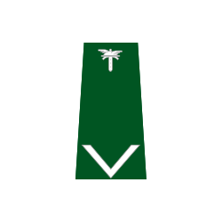 pagon-itd-mlodszy-inspektor