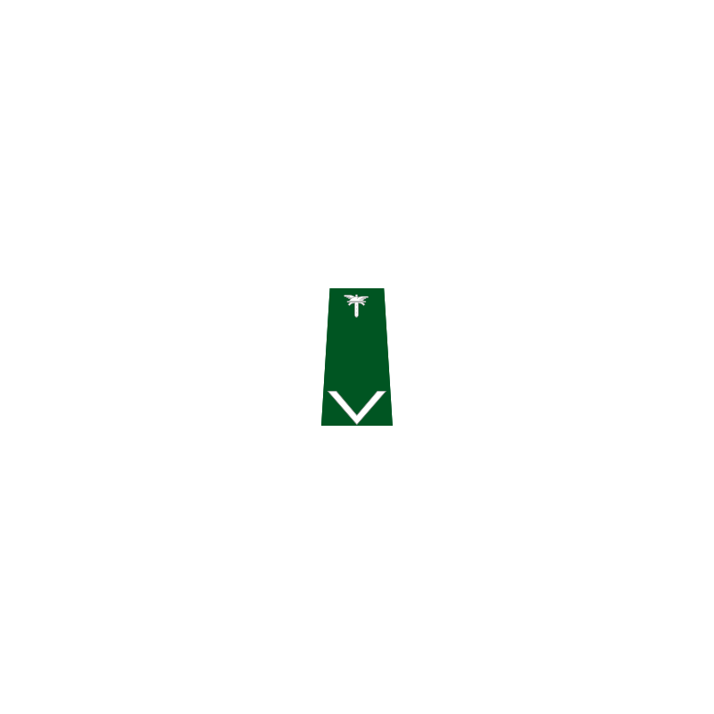 pagon-itd-mlodszy-inspektor