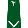 pagon-itd-mlodszy-inspektor