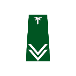 pagon-itd-inspektor