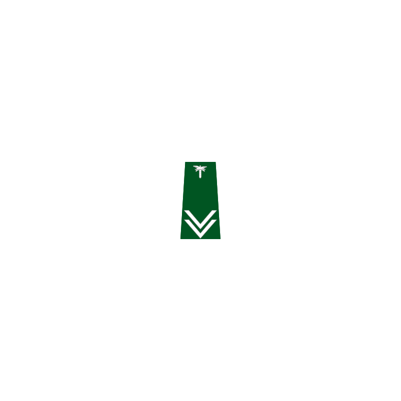 pagon-itd-inspektor