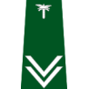 pagon-itd-inspektor