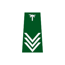 pagon-itd-starszy-inspektor