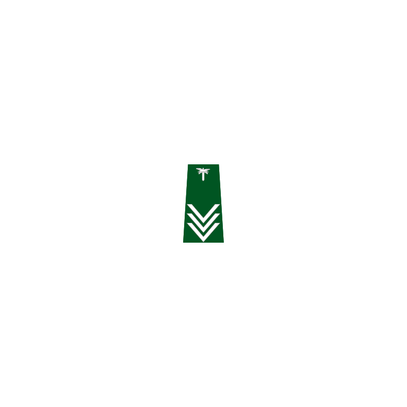 pagon-itd-starszy-inspektor