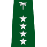 pagon-itd-zastepca-naczelnika