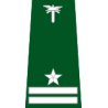 pagon-itd-naczelnik-wydzialu