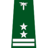 pagon-itd-zastepca-wojewodzkiego-inspektora