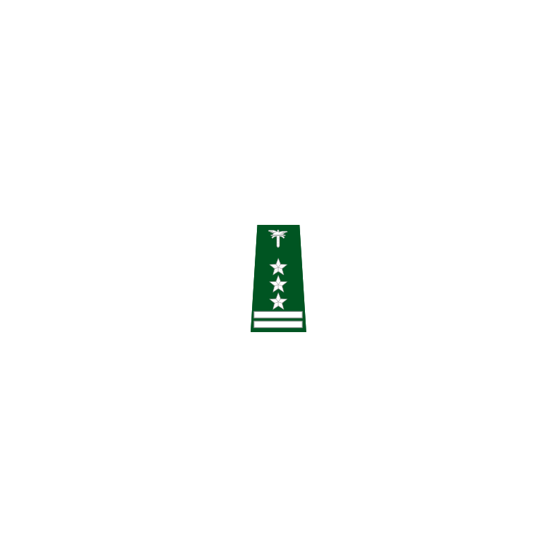 pagon-itdwojewodzki-inspektor